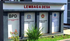 Fungsi dan Peran Lembaga Desa untuk Masyarakat