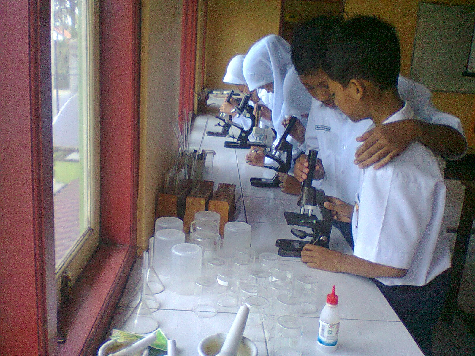 Tryout Online IPA SMP: Persiapan Cermat Menghadapi Ujian