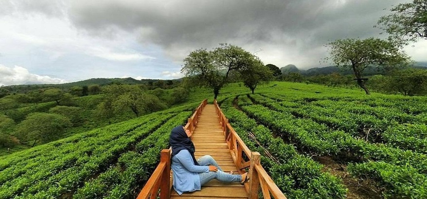 Panduan Liburan Terjangkau ke Malang, Pilih Paket Wisata Murah Sesuai Anggaran Anda