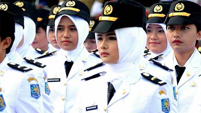 Rahasia Lulus Tes Masuk lewat Tryout Online PKN STAN Terpercaya yang Bisa Diakses Gratis