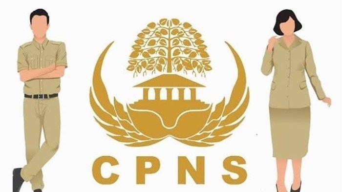 Update Terbaru CPNS: Soal-Soal HOTS yang Sering Keluar di SKD