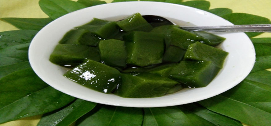 Selain Dijadikan Minuman Es Cincau, Daun Cincau Bisa Mengatasi Radang Lambung