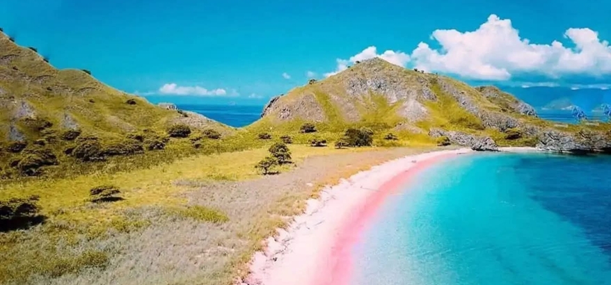 Liburan Tak Terlupakan Lewat Komodo Island Tour yang Seru dan Edukatif