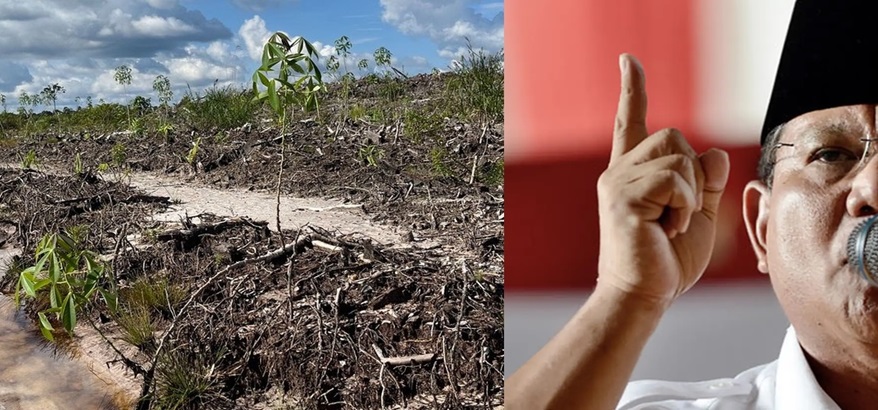 Anggaran Proyek Food Estate Capai Rp 108.8 Triliun, Tetapi Hasilnya Zonk! Prabowo Harus Bertanggungjawab!