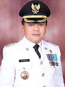 Mengupas Tuntas Profil Gubernur Al Haris Provinsi Jambi dalam Kancah Politik Semenanjung Sumatera