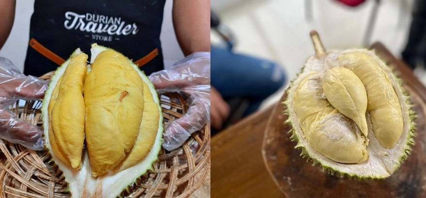 Lebih Jauh Mengenal Jenis Durian Cumasi atau Tai Babi Durian Termahal Asli Indonesia