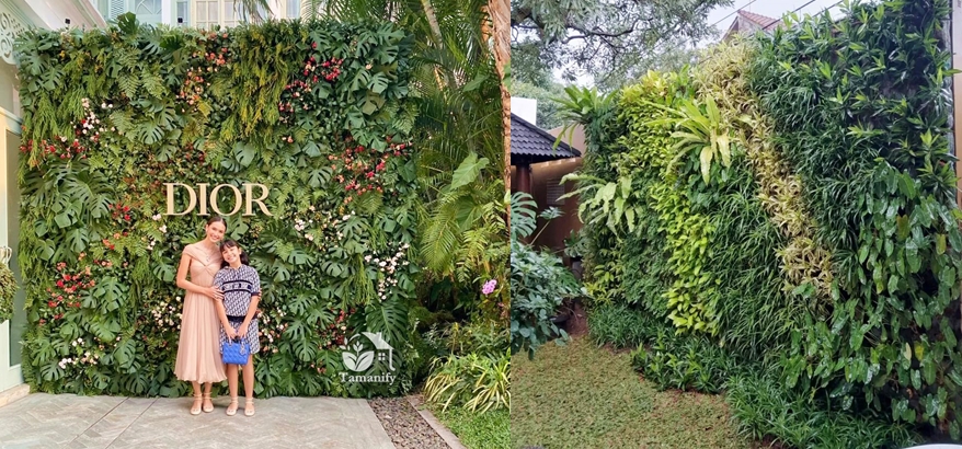 Inspirasi Taman Belakang Rumah yang Nyaman untuk Santai dan Kumpul Keluarga