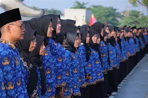 Jenjang Karier ASN: Perbedaan Pegawai Negeri Sipil (PNS) dan PPPK